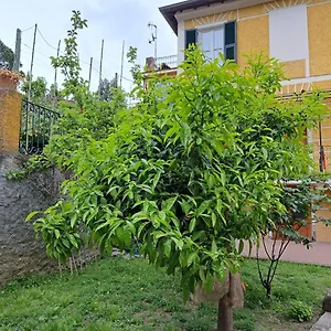 Affittacamere Antonella Guest house